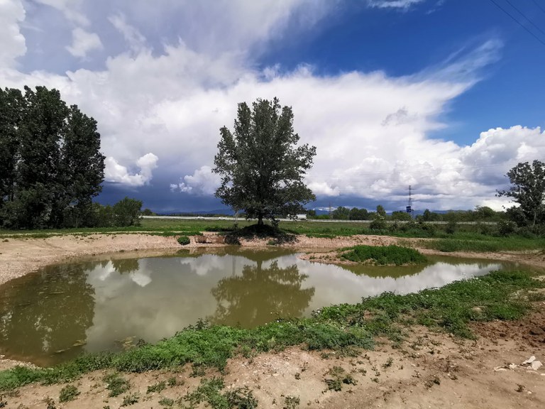 vic_mediambient's tweet photo. Dissabte 22 de març📍organitzem matinal de neteja al riu Gurri🏞️A les 10h trobada: Les Cassases o barri Caputxins🤲amb residus recollits🗑️acció artística final a Atlàntida🧩🛠️
Activitat coordinada @UCMarathon #LetsCleanUp pel #DiaMundialAigua➕informació👇 https://t.co/PYCNfGgtmA https://t.co/vAPyxEYfan