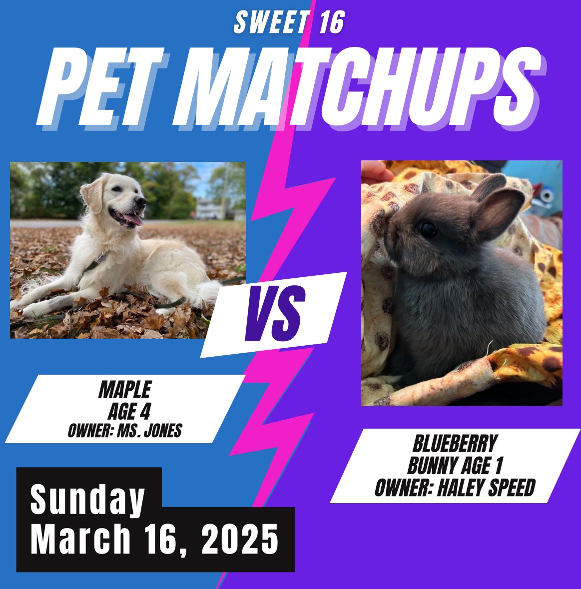 JLHS SAVE Promise Club tweet media