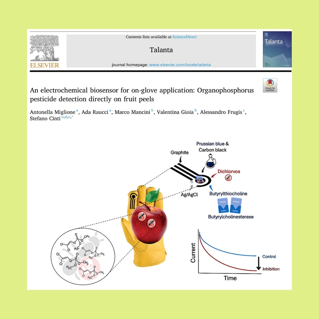 📢 "An electrochemical biosensor for on-glove application: Organophosphorus pesticide detection directly on fruit peels" is now published in Talanta! 🎉
Congrats to the authors: <a href="/A_Miglione/">Antonella Miglione</a> , <a href="/AdaRaucci/">Ada Raucci</a> , M. Mancini, V. Gioia, A. Frugis &amp; <a href="/S_Cinti87/">Stefano cinti</a> !
#Biosensor #Talanta