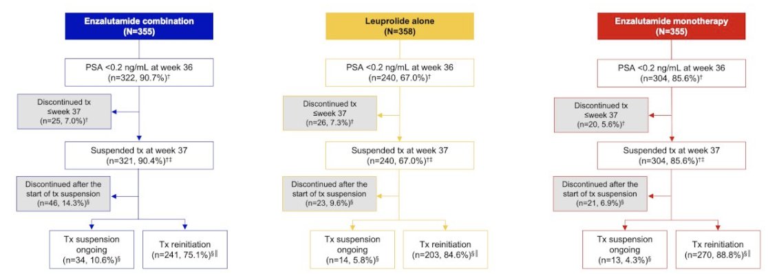 urotoday's tweet photo. PSA dynamics from the phase 3 #EMBARK trial: A post hoc analysis. Presentation by Paul Sieber, MD. #SESAUA25 written coverage by @zklaassen_md > https://t.co/aDVmMKeu3H @SES_AUA https://t.co/iKYTKulWeM