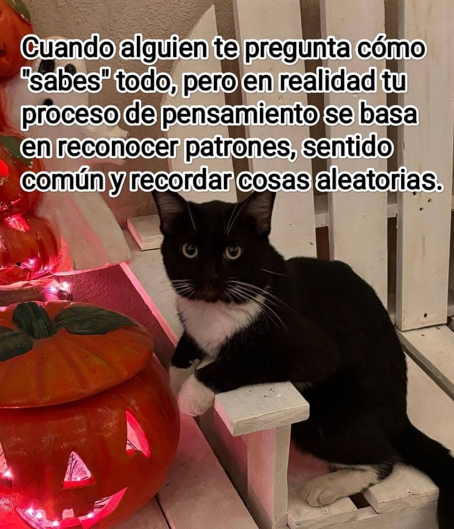 Enséñame de Ciencia (@ensedeciencia) on Twitter photo 