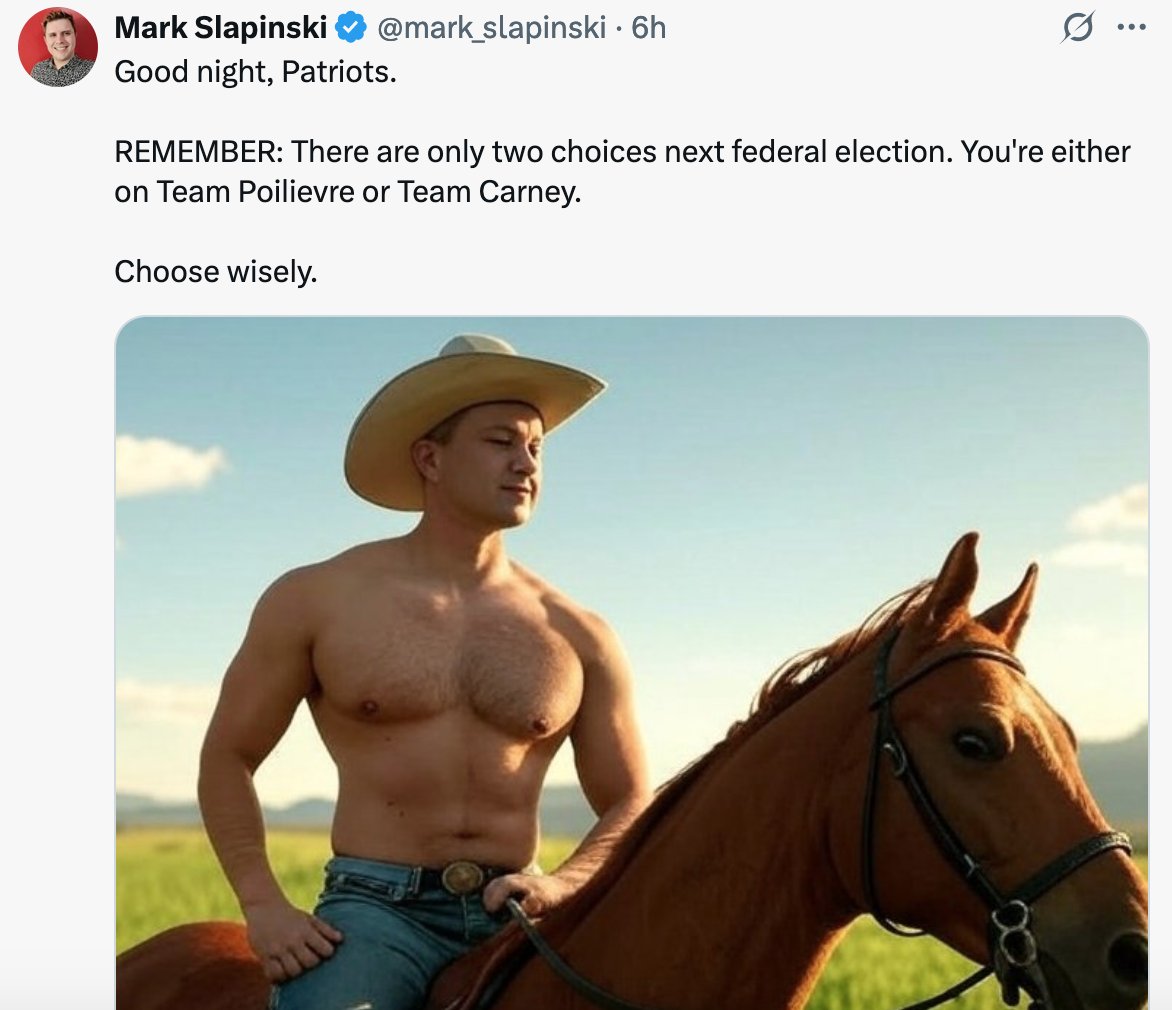 The fetishizing of Poilievre is both creepy and denigrating to his cause. I really don't get this trend at all, it doesn't suggest popularity, it suggests cult and conspiracy. #cdnpoli
