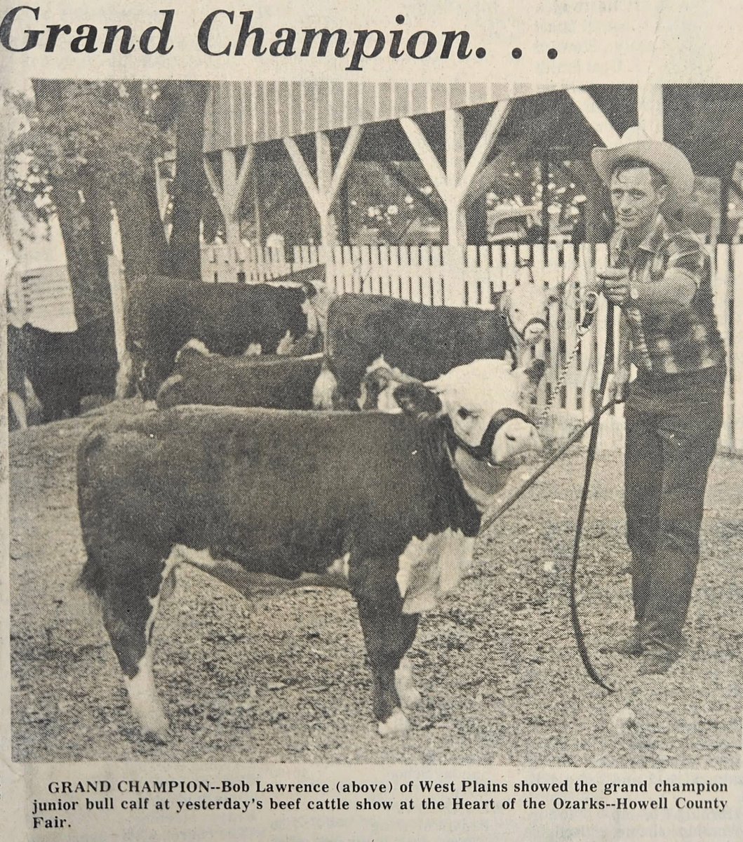 LittleBUFFVall's tweet photo. 1972 - Bob LAWRENCE of West Plains, MO showed the Grand Champion Junior Bull Calf at the Heart of the Ozarks Fair.
#howellcounty #countyfair #westplainsmo #ChampionBull https://t.co/Iz5hbp7jeE