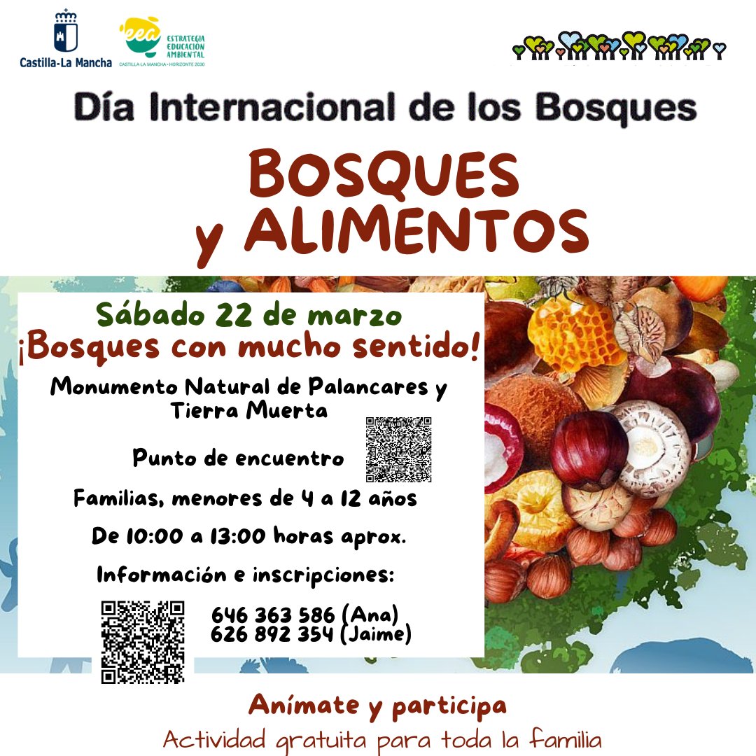 🌳🌲 Celebra el #DíaInternacionalDeLosBosques 2025 en Cuenca con el Programa #CENTROCuenca de <a href="/DSostenibleCLM/">Desarrollo Sostenible CLM</a> 👫👧👦  

📅 Cuándo: 22 de marzo de 2025
📍 Dónde: MN de Palancares y Tierra Muerta (Serranía de Cuenca)
💰 GRATIS

ℹ️ Info e inscripción aquí 👉 cutt.ly/0ruLKzcm