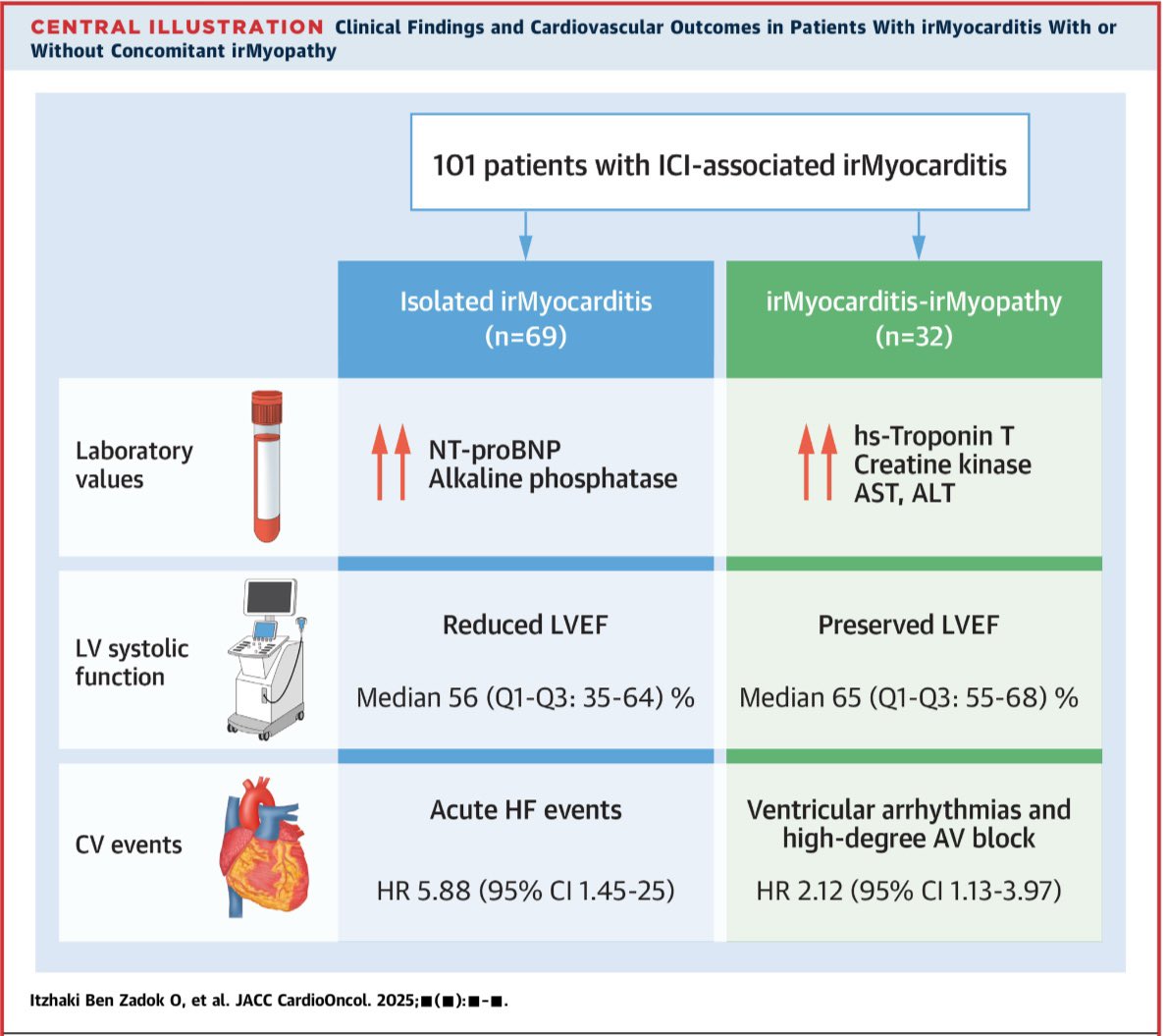 Very excited to share our our recent work and a JACC: CardioOncology/ ACC25 simultaneous publication evaluating cardiac findings and outcomes among patients with ICI myocarditis and concomitant myopathy 
#CardioOnc
#CardioOncology
#JACCCardioOnc

jacc.org/doi/10.1016/j.…