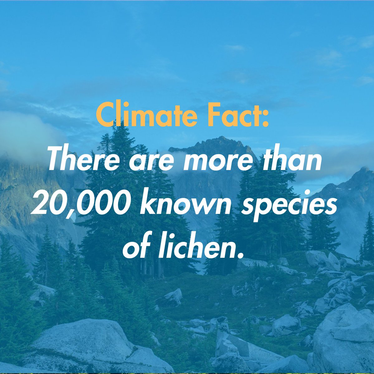 🌏Monday climate facts, uplifting facts to start your week!🌏

There are more than 20,000 known species of lichen!

What's your favorite type of lichen? Tell us below! ⬇