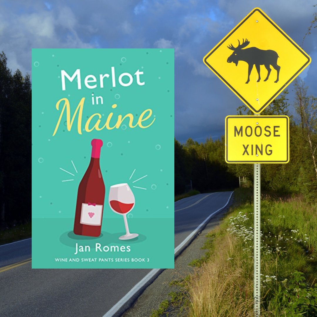 Elaina, Tawny, Steph &amp; Grace get a fresh start in Maine with a bed and breakfast, lupines, moose crossings, and a little Merlot!  

Women's Fiction - Humor - Mischief - Forever Friends - Kindle Unlimited  amazon.com/dp/B01MR48QTD