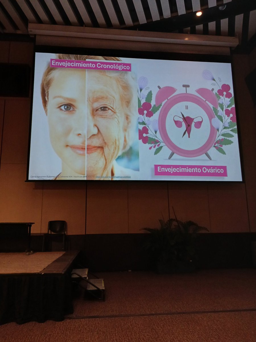 magraziagirone's tweet photo. En Cartagena #simposioACE2025 @ENDOCRINO_COL puede revivir
La espectacular experiencia en
#ENDOCAMPUS inscribete disfruta @endocatracha @drfherediaz
@rafael52987 @alejoromanmd
@gustavendocrino @alfonsomora81
@CristobMorales @dremarquezr
@SMNE_Oficial @UscherMariaI @Carig2 https://t.co/j8gGmnradk