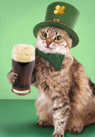 TheTickerIsACat's tweet photo. me irl https://t.co/DArFEzqCjf