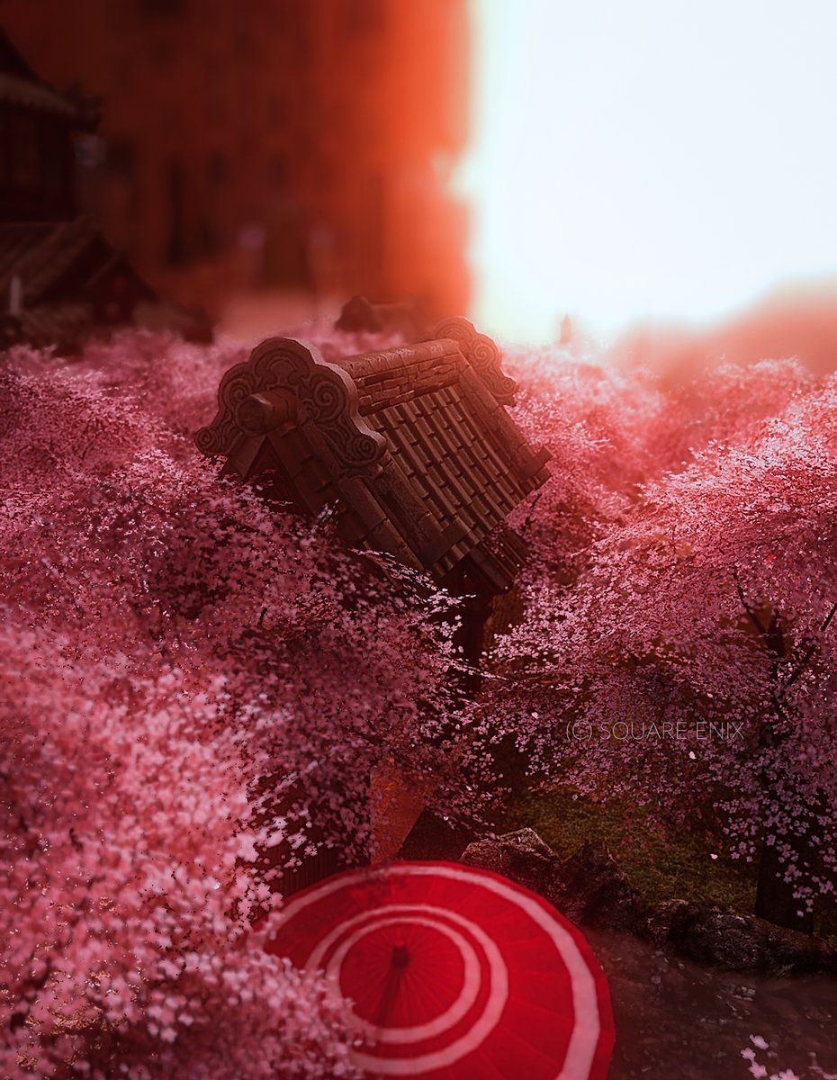 🌸🌸
#FF14風景