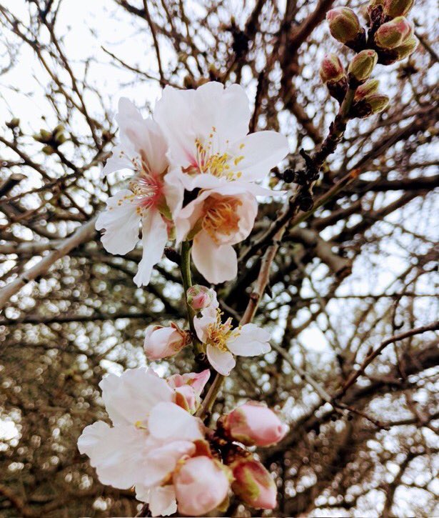 Amber02150's tweet image. Happy new week to y’all 🍃
The first of #springtime 🌸

🍃
#MarchVibes