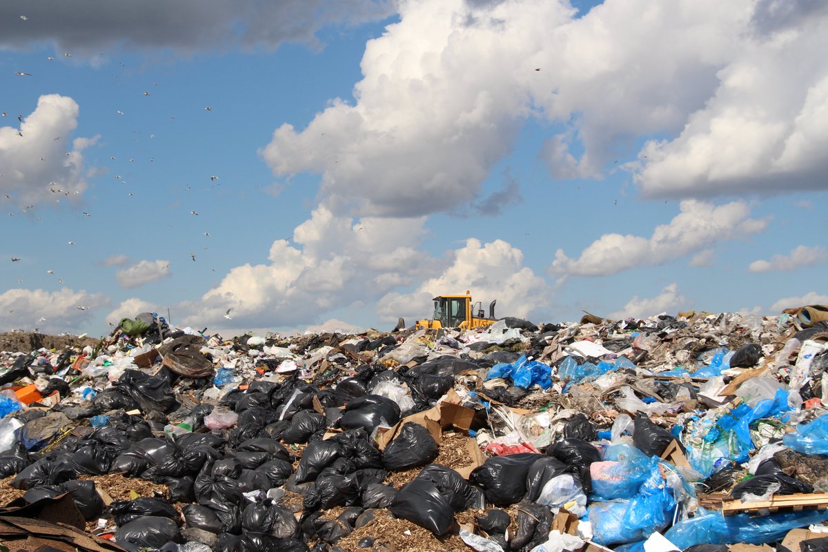 City of Brandon tweet media