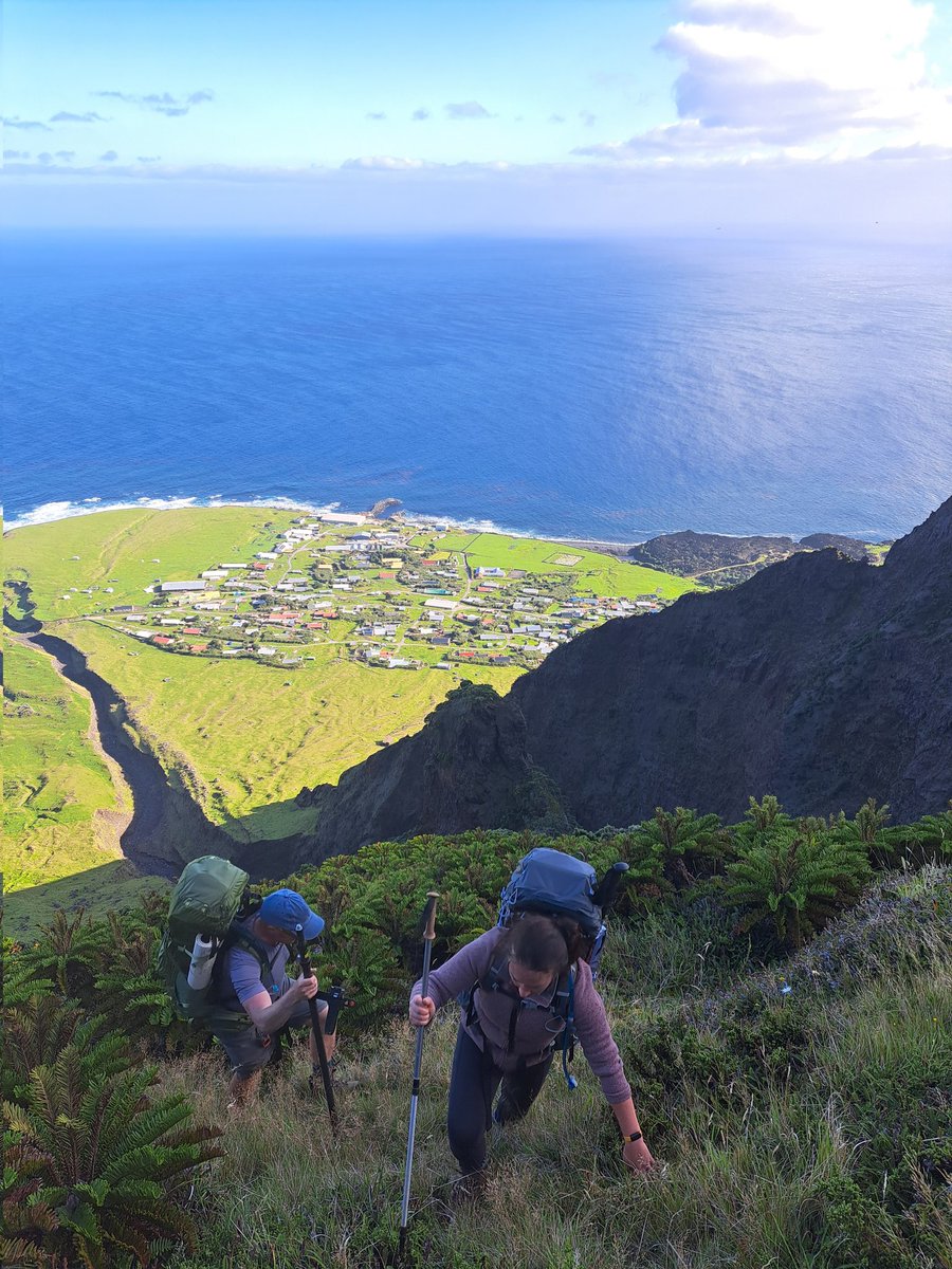 Tristan da Cunha is a hidden gem in the South Atlantic, where towering mountains, rugged landscapes, and unique wildlife create an untouched paradise. A true adventure for nature lovers! 🏔️🌊 #TristanDaCunha #Wildlife #MountainAdventure #Nature