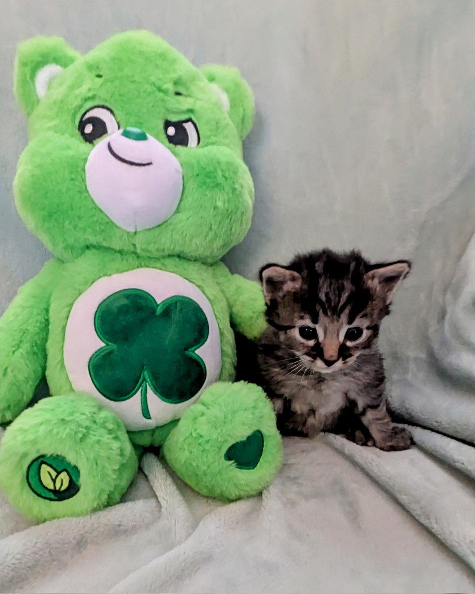 Happy St. Patrick's Day