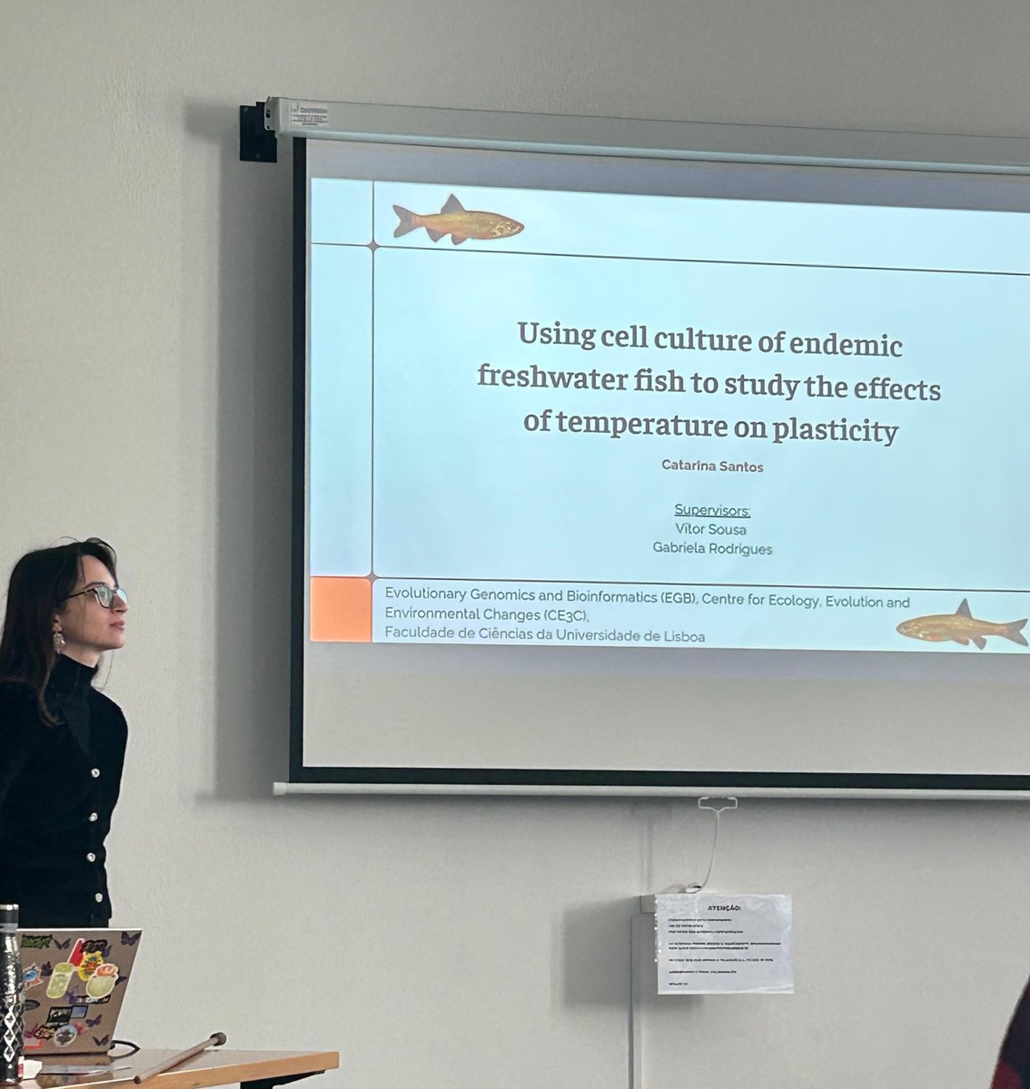 (1/3) We congratulate our team member Catarina Santos for the defence of her MSc dissertation, entitled "Using cell culture of endemic freshwater fish to study the effects of temperature on plasticity"!🐟