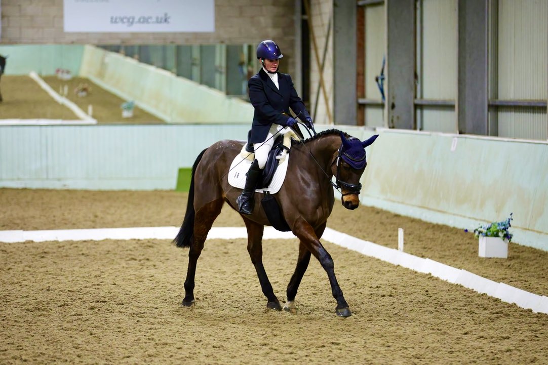 JockeyRach's tweet photo. From racehorses to riding club horses.
Life after racing continues and it’s pretty sweet for them too 🩷
#ruacana
#friendstogether
#exracehorses https://t.co/Rg4nDdfwr3