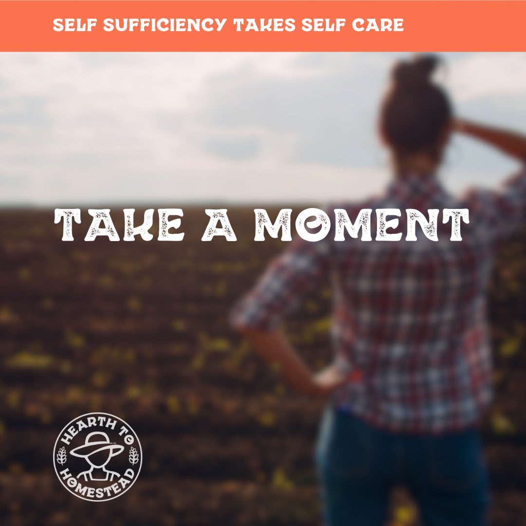 Every harvest, no matter how big or small, is a gift. Let’s count our blessings &amp; keep sowing seeds of gratitude. 🌻 

#homesteading #homesteadingcanada #farming #farm #gardening #homesteadliving #hobbyfarm #smallfarm #farmher #garden #farmstead #backyardhomestead