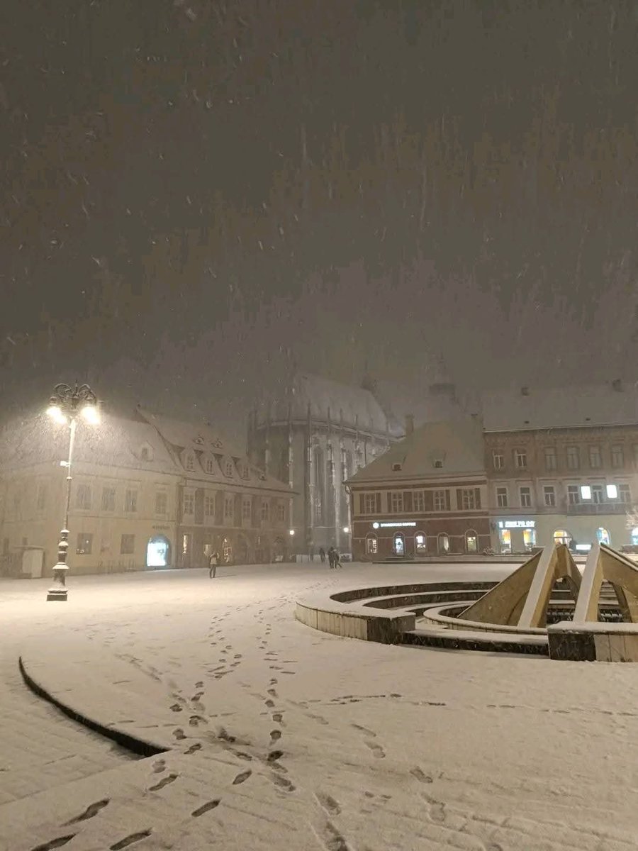 Ninge în Brașov.❄️
Fotografii: dr. Ovidiu Simionescu