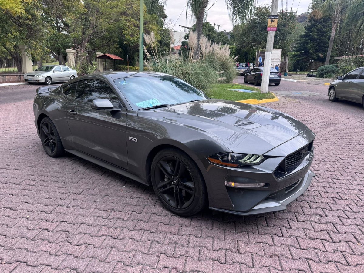 Nuevo integrante del Garage 💪🏻