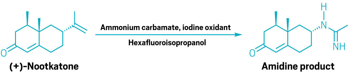 2 ways to stick nitrogen into alkenes: 2 new methods expand synthetic chemists’ options for cutting double bonds and installing new bonds to nitrogen. cen.acs.org/synthesis/2-wa…