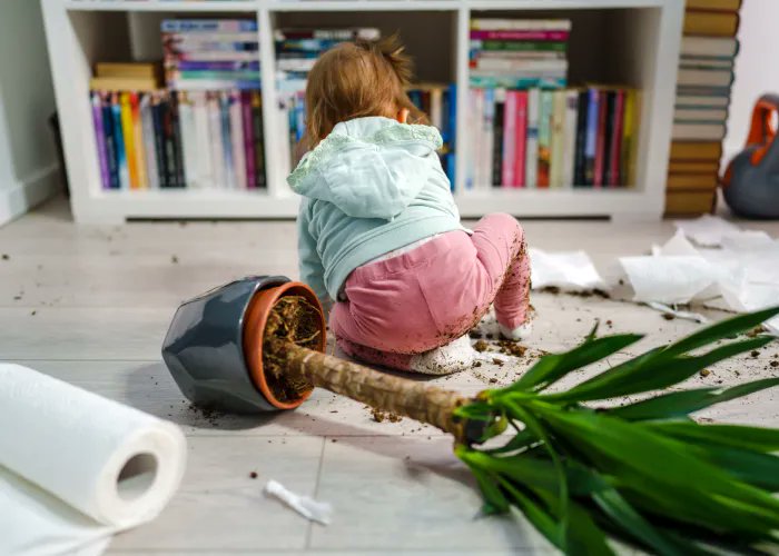 What to Do When Your Child Causes Damage to a Rental Property: 
Raising children is a rollercoaster of a ride filled with love, chaos, and the occasional mishaps. Those seemingly harmless accidents, however, can have serious repercussions when it's time to hand over the keys  ...