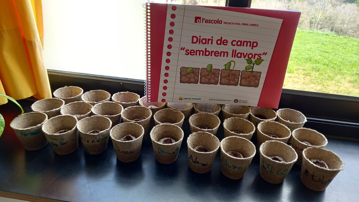 fontdelroure's tweet photo. Aquest matí, els infants de 3r han participat en el taller Vida, terra i arrels de la @uniopagesos! 🌱 Un projecte intergeneracional que connecta nens i nenes amb la saviesa de la gent gran del sector agrari. #AprenemJunts #ArrelsVives @diba #DibaOberta https://t.co/Rr3090qVvC