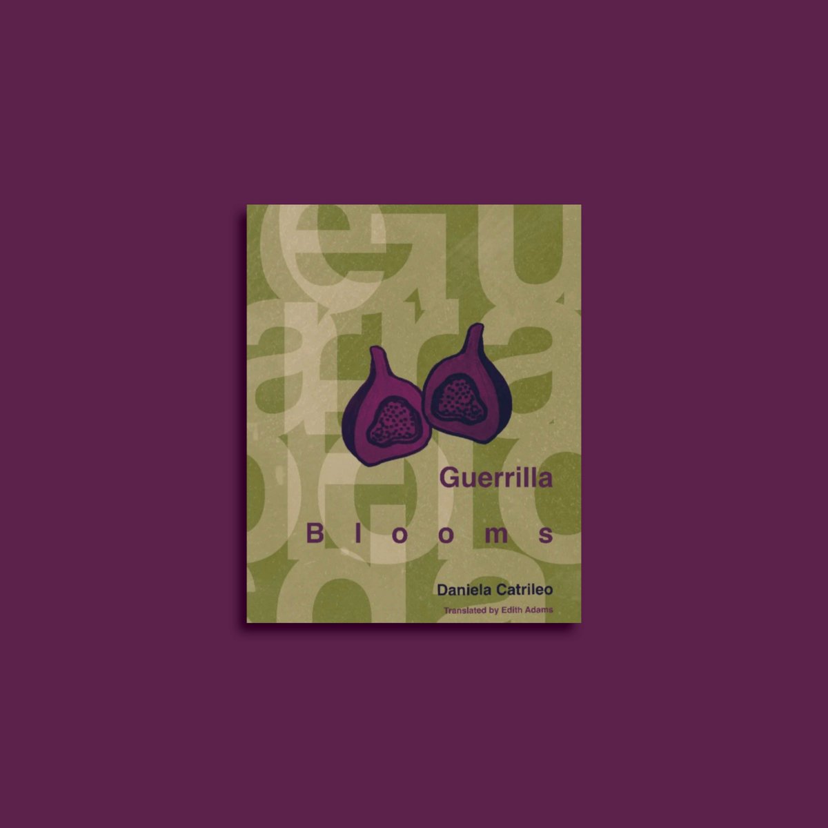 “With Guerilla Blooms, Chilean poet Daniela Catrileo, bilingual in Spanish and Mapudungun, creates a poetics of resistance in the language of the Mapuche, the indigenous people of Chile.” – Susan Smith Nash

worldliteraturetoday.org/2025/march/gue…