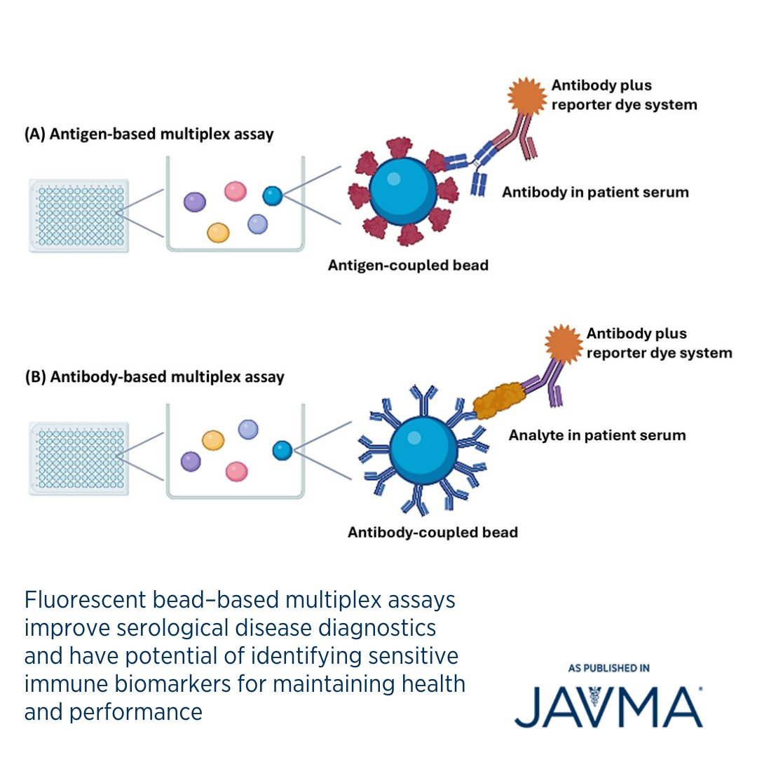 AVMAJAVMA's tweet photo. Fluorescent bead–based multiplex assay results have a high potential for advancing animal health and performance management, as well as infectious and inflammatory disease diagnostics. Open access article: https://t.co/5mPgcw62xI @cornellvet #multiplexassay #Lyme #brucellosis https://t.co/Q6DpdutTtK