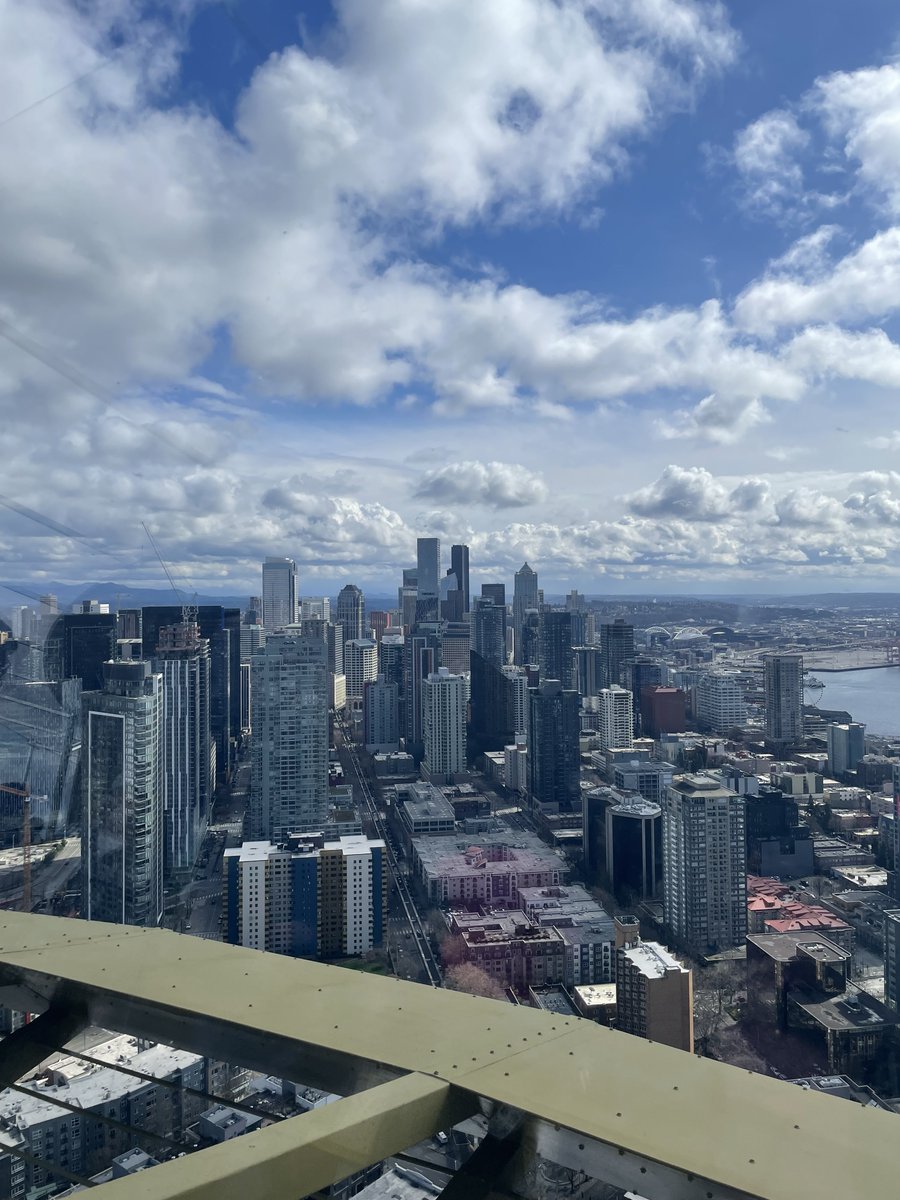 yukihideota's tweet image. I presented preclinical data on a novel strategy targeting RAD52 to overcome PARP inhibitor resistance in BRCA2-deficient tumors. I am honored to have been selected for a Featured Oral poster Presentation at SGO 2025 in beautiful city Seattle. @SGO_org #CRepHS #WashU