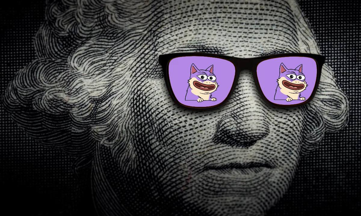 Okay so here's the thing,

Take your money and get $DUKO now at $3M mcap.

CA: HLptm5e6rTgh4EKgDpYFrnRHbjpkMyVdEeREEa2G7rf9

Hold tight, work for your bags, enjoy the purple vibes. 

Thank me later. 💜🐶