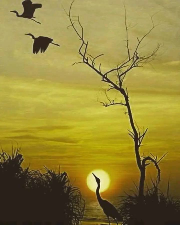 ایک مدت کی ریاضت سے کمائے ہوئے لوگ 
کیسے بچھڑے ہیں مرے دل میں سمائے ہوئے لوگ
تلخ گوئی سے ہماری تُو پریشان نہ ہو.  
ہم ہیں دنیا کے مصائب کے ستائے ہوئے لوگ
تجھ کو اے شخص کبھی زیست کی تنہائی میں
یاد آئیں گے ہم عجلت میں گنوائے ہوئے لوگ 🖤