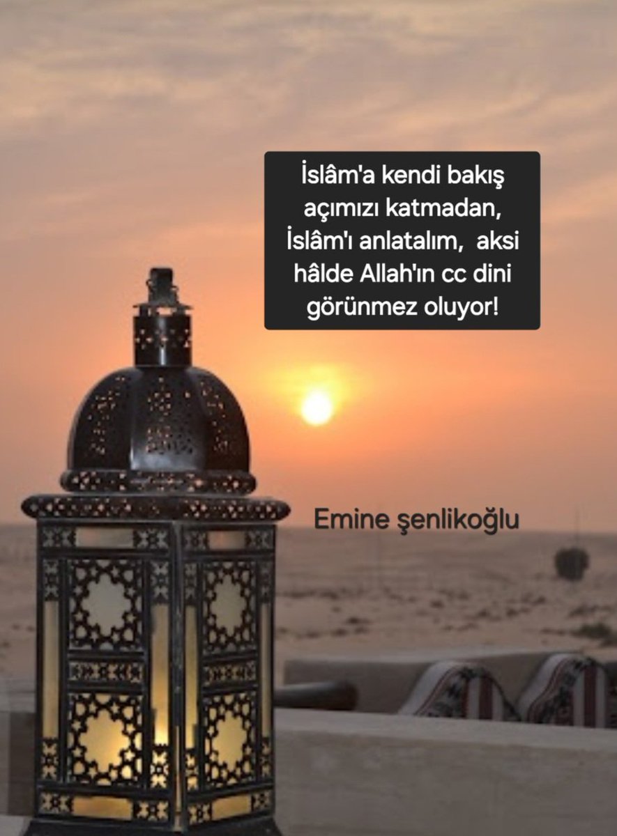 emine şenlikoğlu tweet media