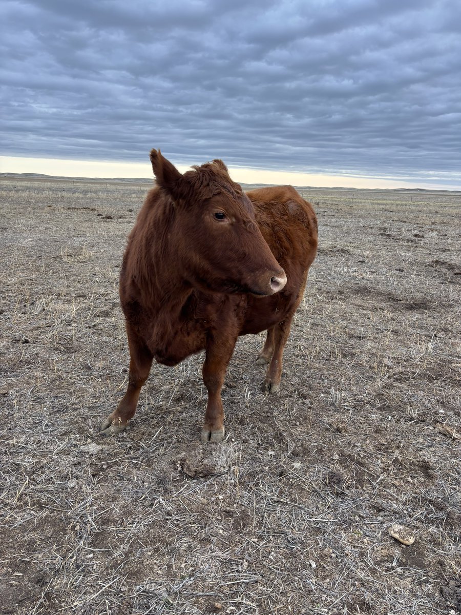 court 🇵🇸 tweet media