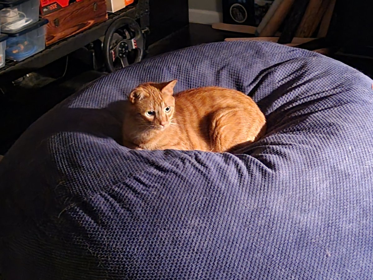 Nate Pulliam tweet media