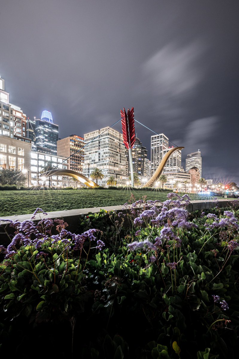 Caught in the dream of a foggy night along The Embarcadero.