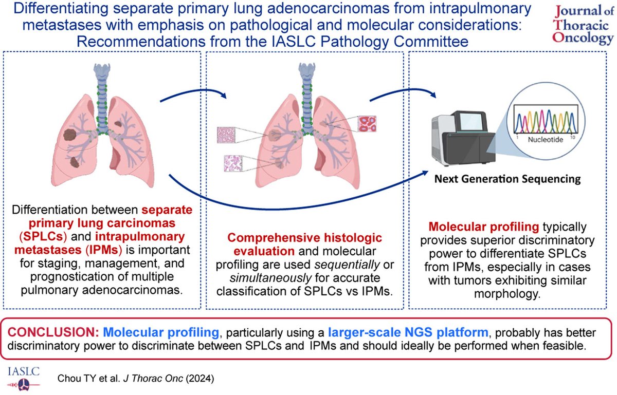 JTO & JTO CRR (@jtoonline) on Twitter photo This manuscript from the IASLC Pathology Committee proposes a combined histologic and molecular algorithm in categorizing multiple lung adenocarcinomas into SPLCs or IPMs, specifically that genomic profiling by NGS should be performed whenever possible. bit.ly/4i4PvHJ This manuscript from the IASLC Pathology Committee proposes a combined histologic and molecular algorithm in categorizing multiple lung adenocarcinomas into SPLCs or IPMs, specifically that genomic profiling by NGS should be performed whenever possible. bit.ly/4i4PvHJ