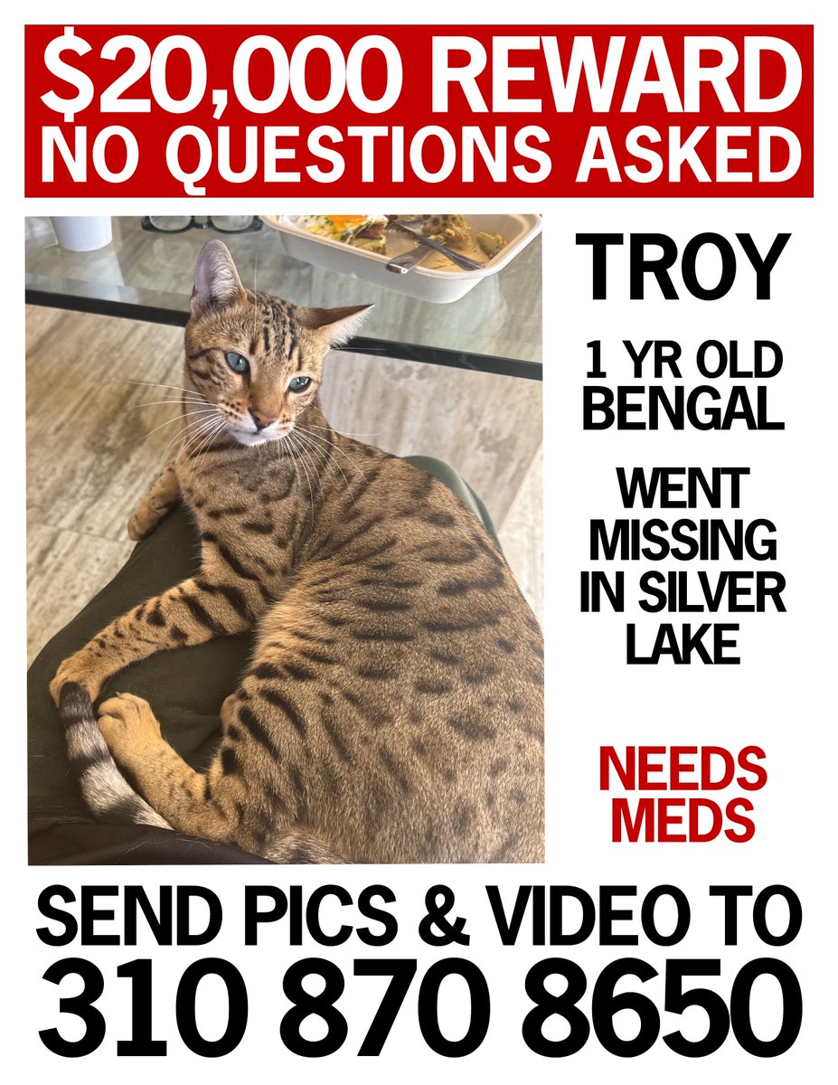 Nero's tweet photo. Profoundly grateful to @Timcast who has generously doubled the bounty. There is now a $20,000 cash reward for Troy’s safe return. https://t.co/UTRKJudVE5