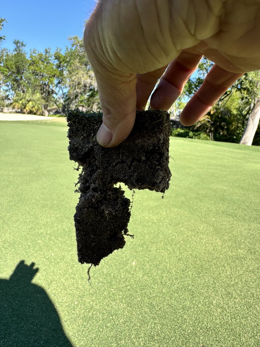 Another beautiful day at River Hills CC just E of Tampa!
Despite the weird little worm we found on the practice green, our roots are digging deep for March and I’m loving it