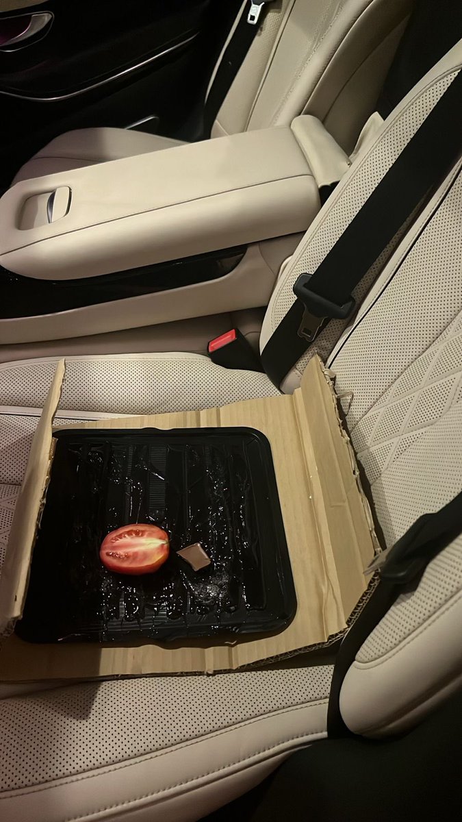 طلع لي فار بالسيارة وتارك أثر وريحة مخيسة جربت حطيت له طماط من الصباح لين قبل شوي ما جاء عليها أحتاج أقتراح كيف أصيده؟