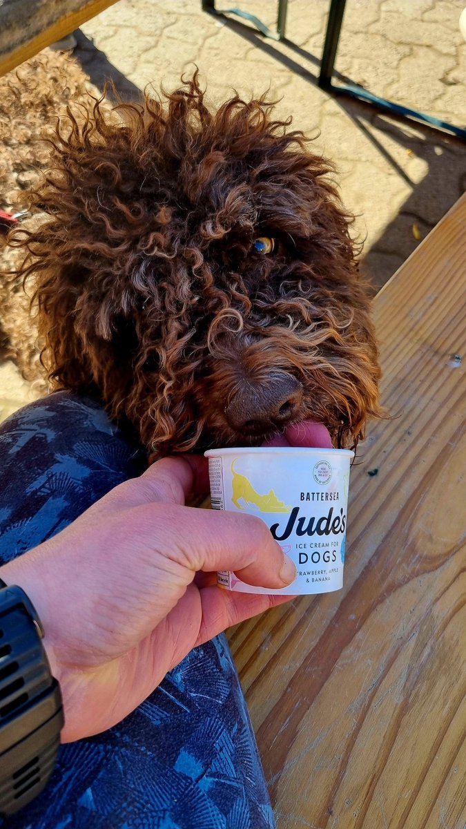 Everyone loves ice-cream!