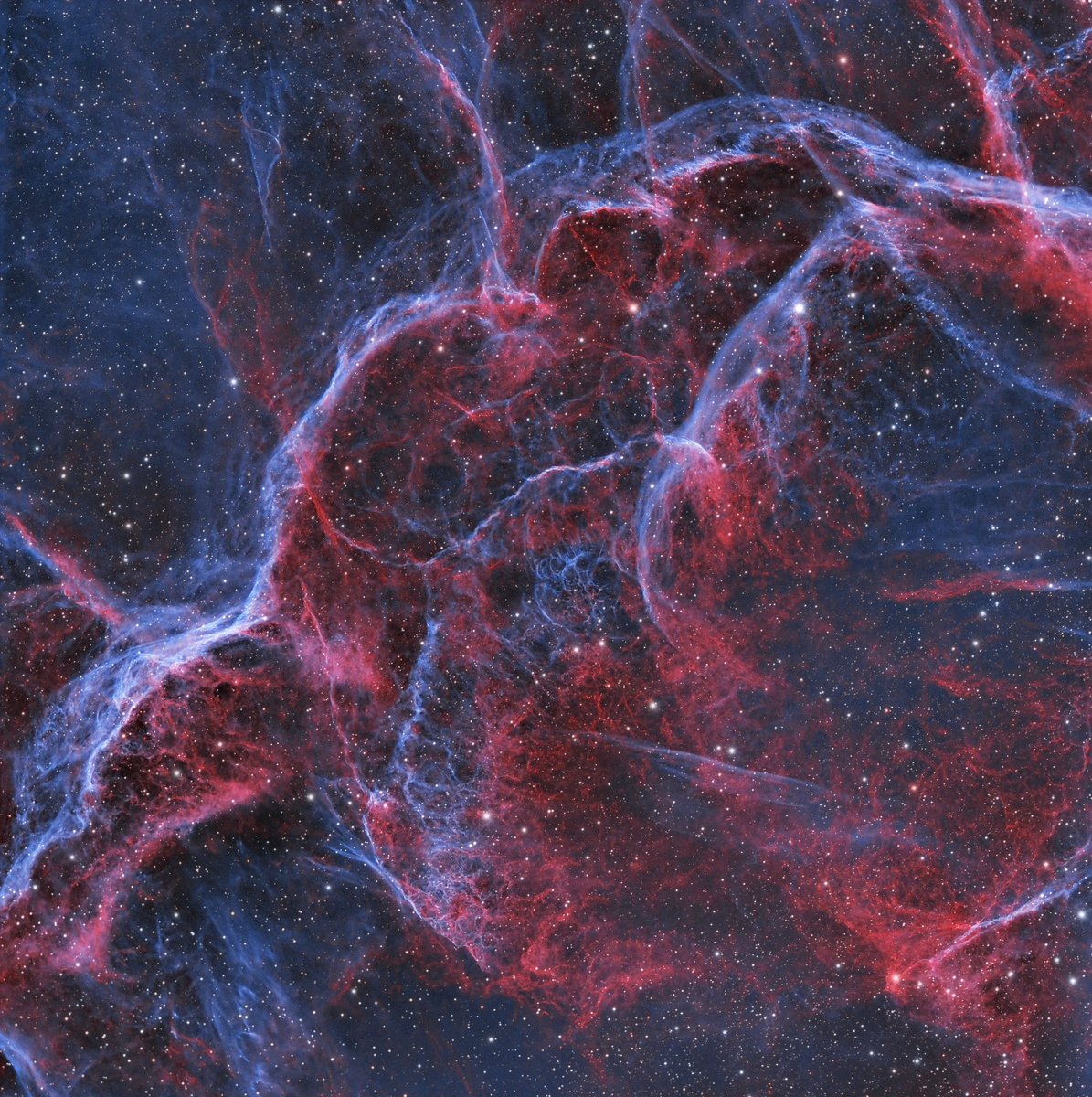Part of the Vela Supernova Remnant, captured in HOO with the RASA 8 &amp; ASI533MM Pro. 30 hours of exposure time.  #astrophotography #space #astronomy