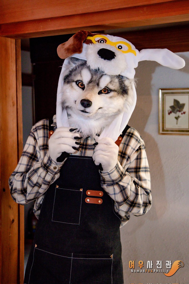 🐺🥰🥰

🐺:  <a href="/kamodaniookami/">ロキ</a> 
#Fursuit #やまいぬカフェ