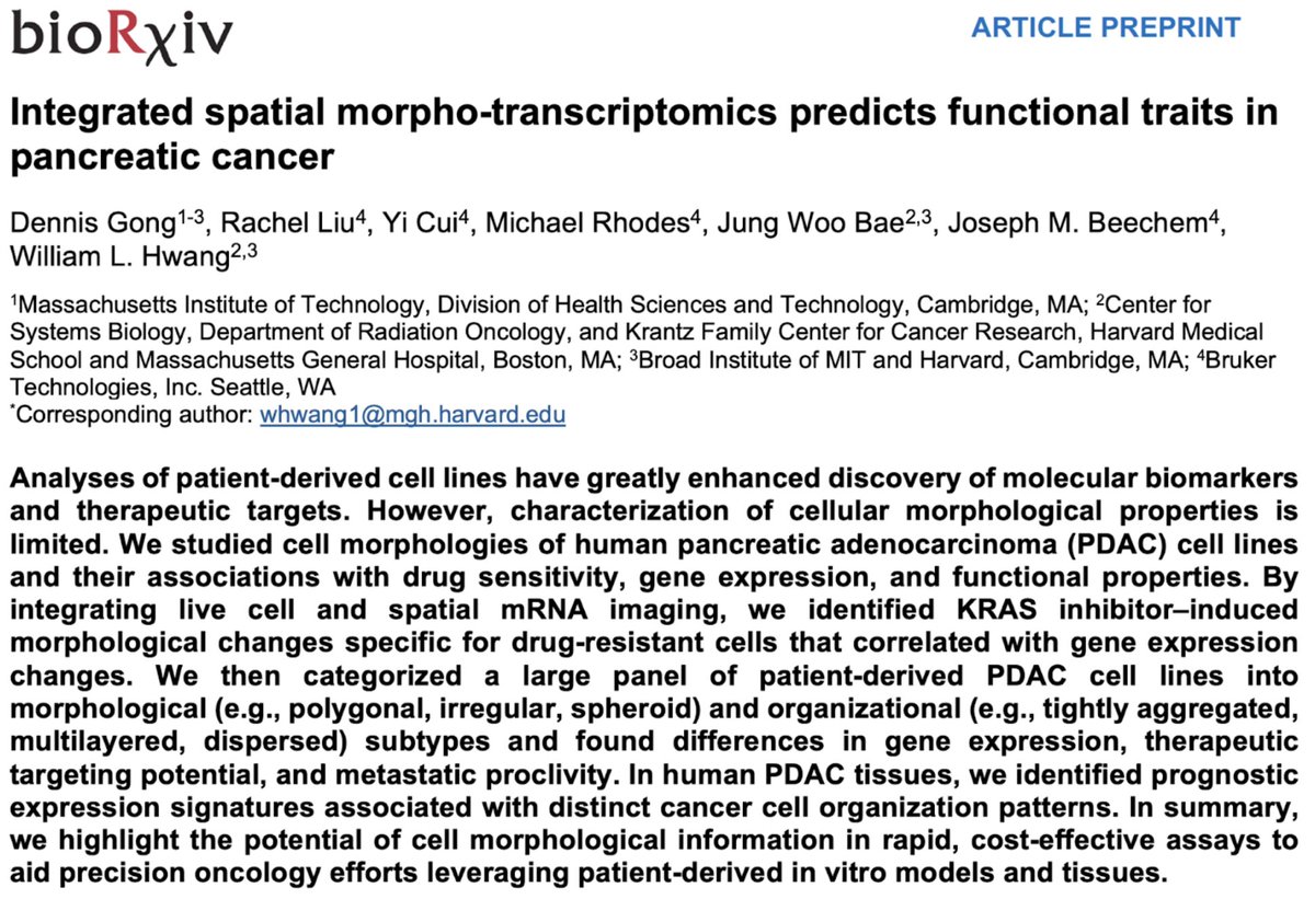 Dennis Gong tweet media