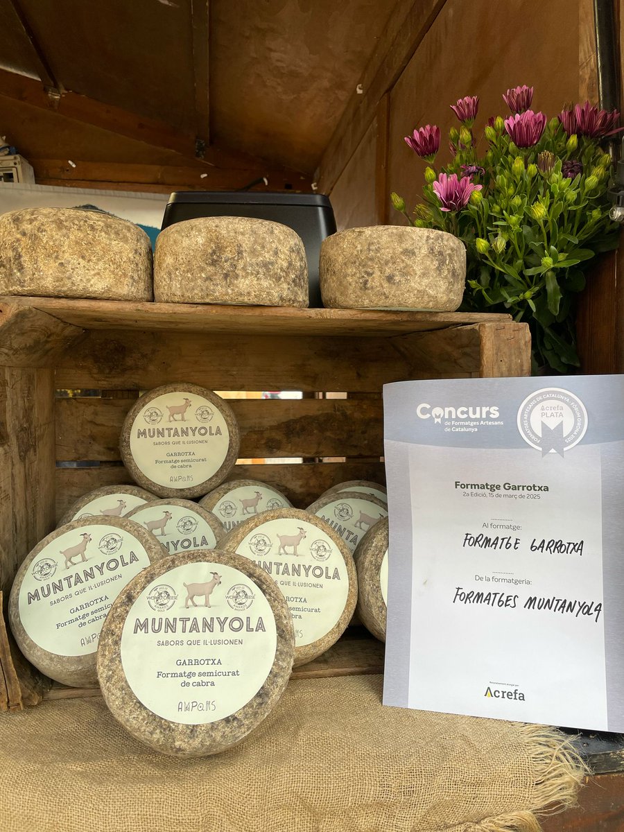 Muntanyolampans's tweet image. 🥈 El nostre #Garrotxa ha guanyat medalla de plata al II Concurs de Formatges Artesans de Catalunya 🧀✨ | Un orgull ser part d’aquest reconeixement al talent formatger català. Gràcies, #Acrefa!

🔗 Descobreix tots els premiats al Fòrum: instagram.com/p/DHSvZoUorj6/…