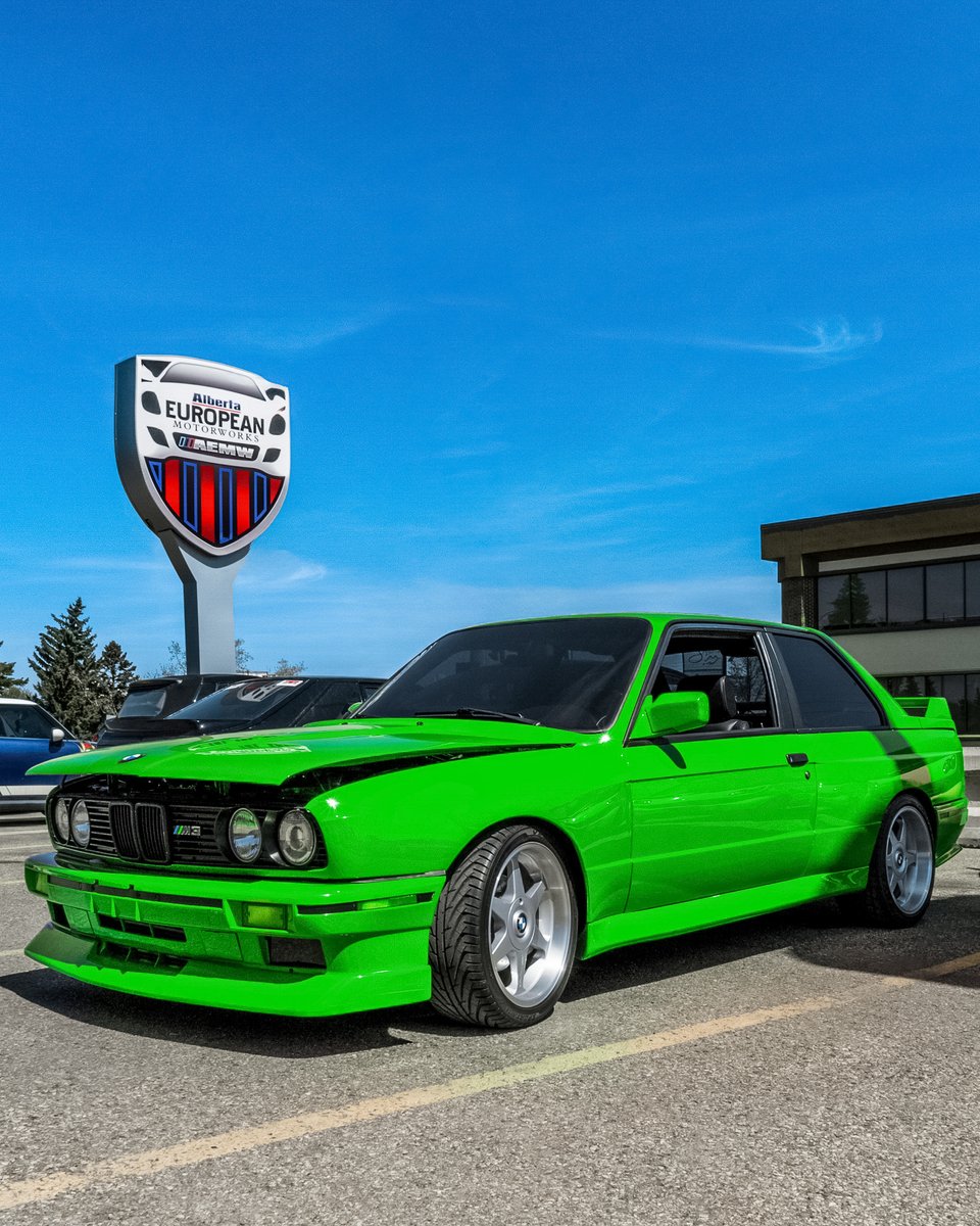 Wishing you a joyous St. Patrick's Day filled with the good fortune of the Irish! 🍀 May your day be filled with laughter, cheer, and a touch of luck. Sláinte!