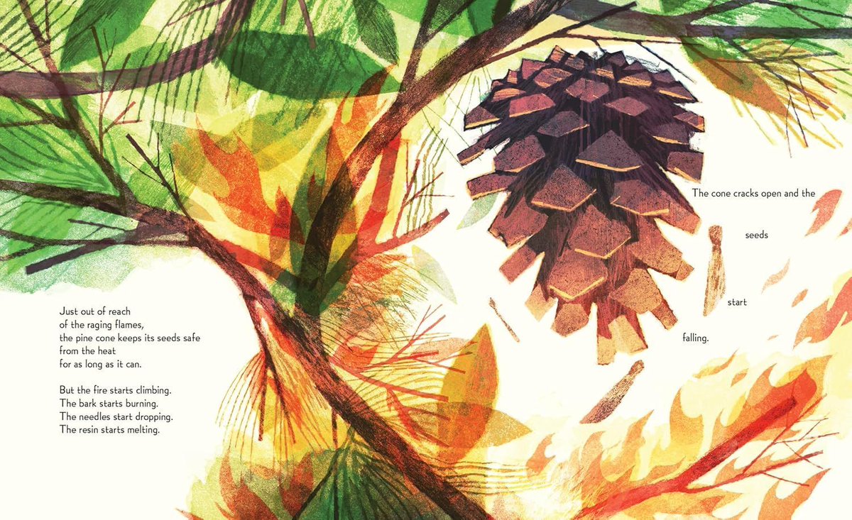 Morgan Gaynin tweet media