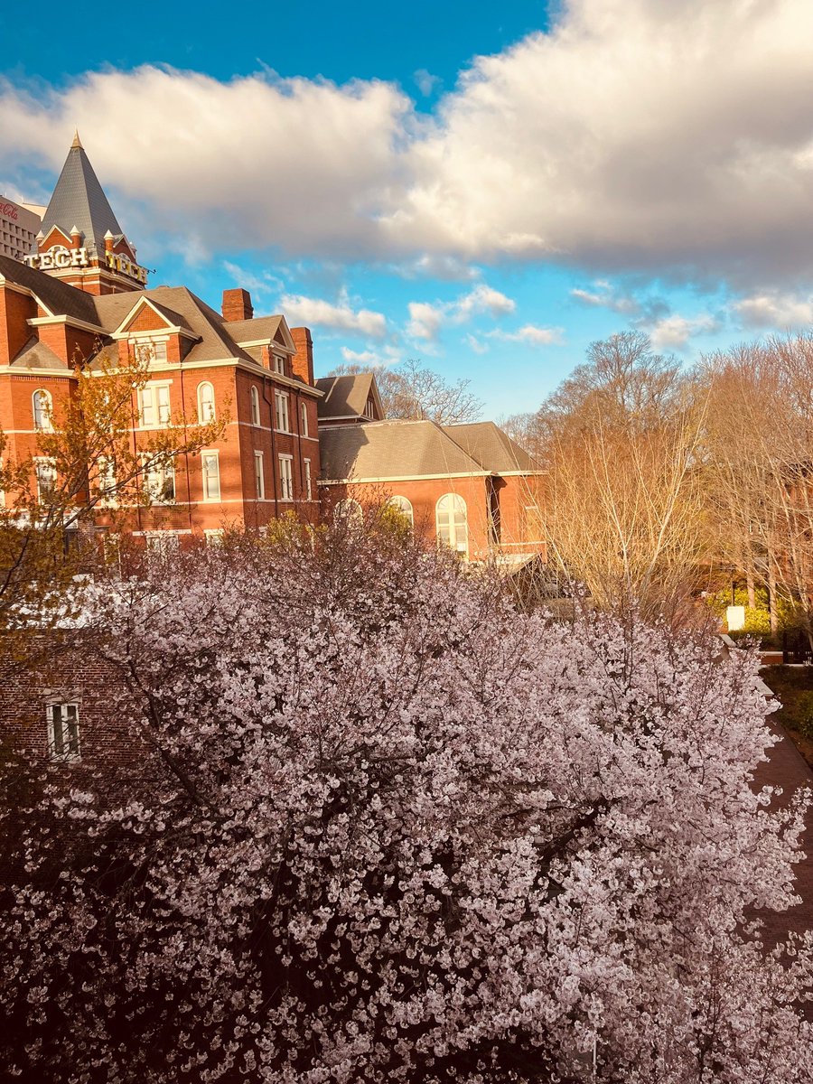 Rick Clark tweet media