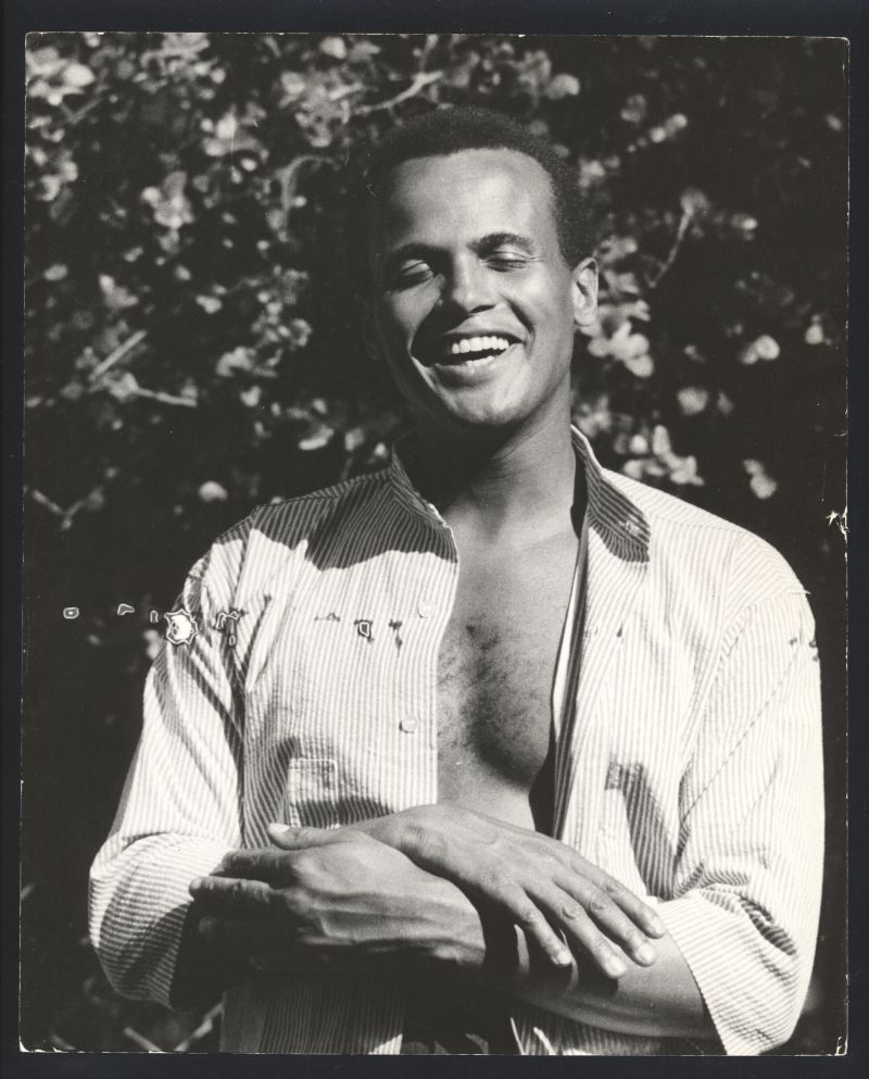 powerbybtc's tweet photo. Artists Who Would Have Been Bitcoiners #1: Harry Belafonte 🎙️🧵 https://t.co/qlkrZ2sAHa