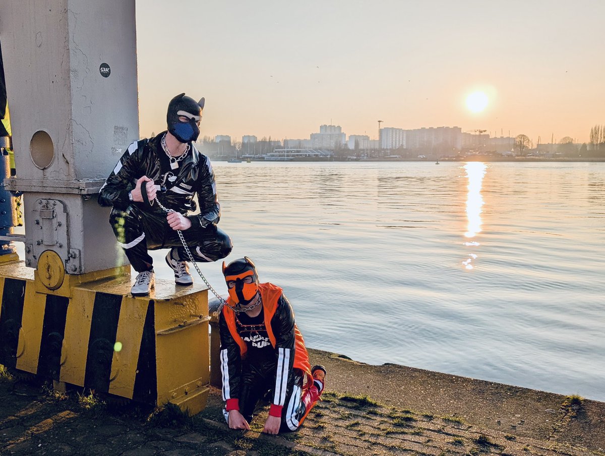 Cobi 🐾 🔜 Club Locked tweet media