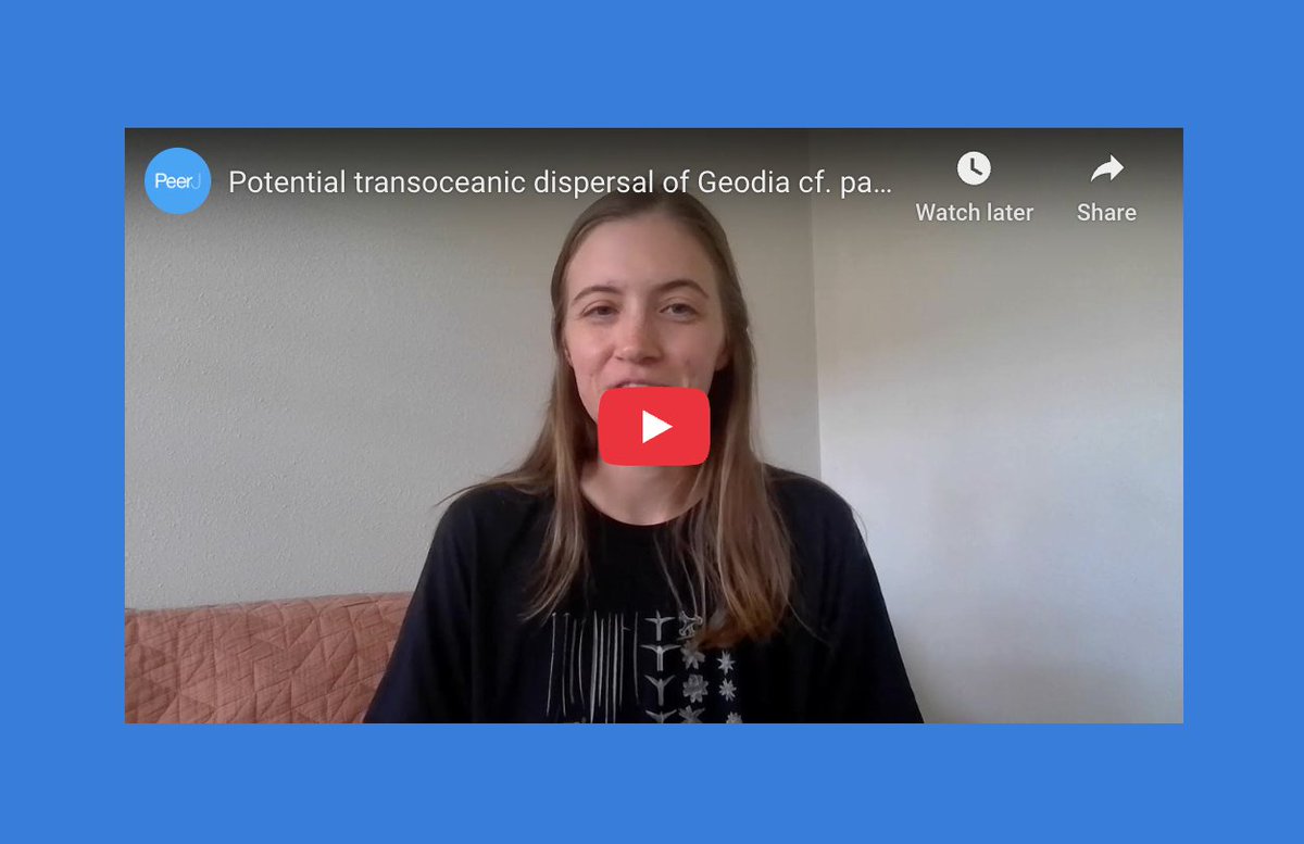 PeerJ Publishing (@thepeerj) on Twitter photo Watch an interview with Rachel Nunley <a href="/uhmanoa/">University of Hawaii at Manoa</a> as she discusses the latestest research on the transoceanic dispersal of Geodia cf. papyracea and six new tetractinellid #sponge species descriptions within the #Hawaiian reef #cryptofauna
See more bit.ly/3FstnbT
#PeerJ Watch an interview with Rachel Nunley <a href="/uhmanoa/">University of Hawaii at Manoa</a> as she discusses the latestest research on the transoceanic dispersal of Geodia cf. papyracea and six new tetractinellid #sponge species descriptions within the #Hawaiian reef #cryptofauna
See more bit.ly/3FstnbT
#PeerJ